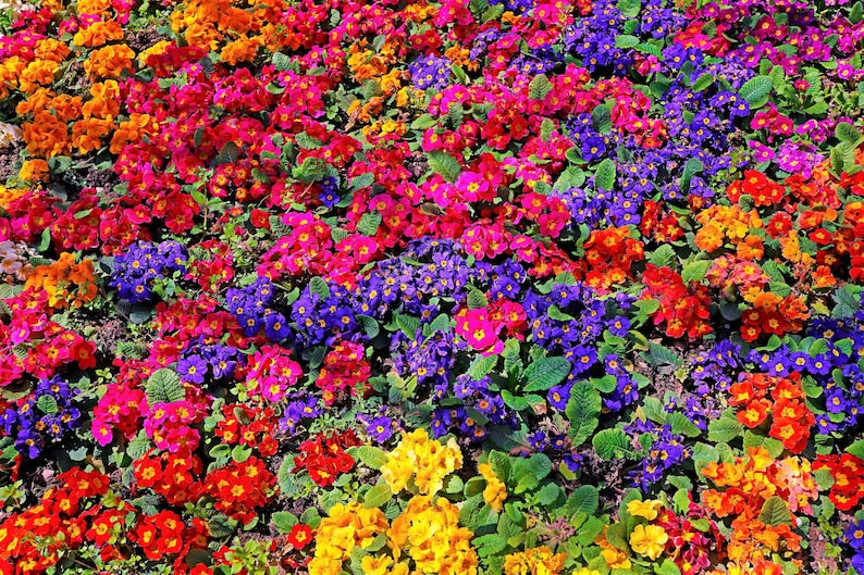 345d7e1d-c484-4e74-afe6-8a8f3f191cc4