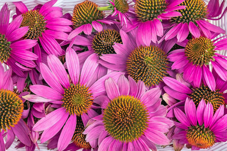 01c39dd4-93d1-4628-9ef5-e00a8535f05c