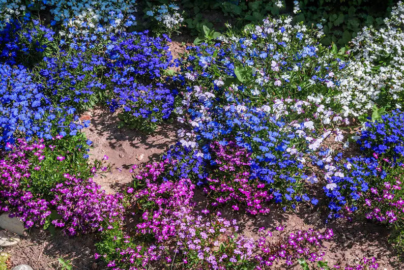 0c77e1b9-b640-4732-878d-f91706eb8d24