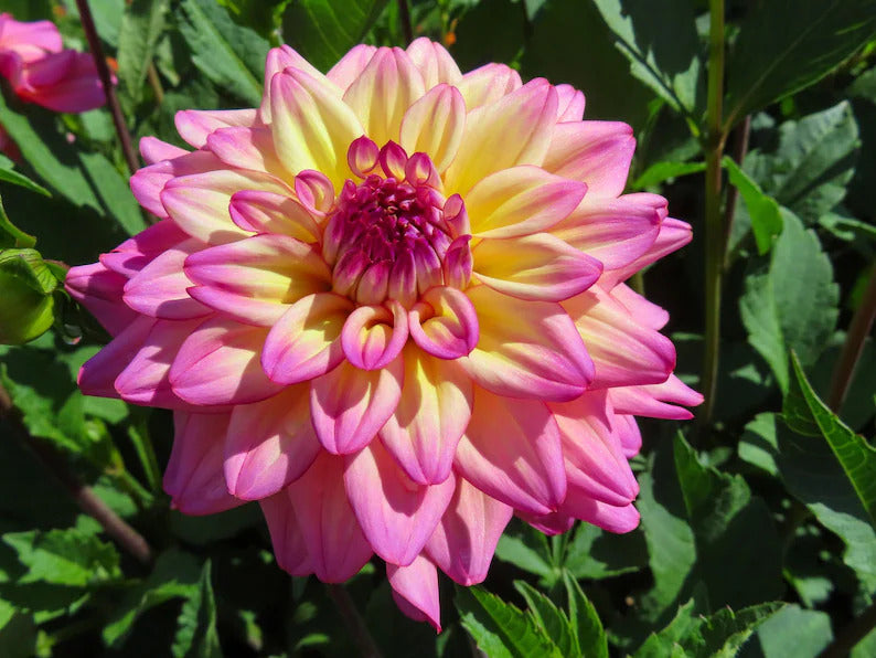 b54153ab-d574-486b-944f-53e8a10432c5