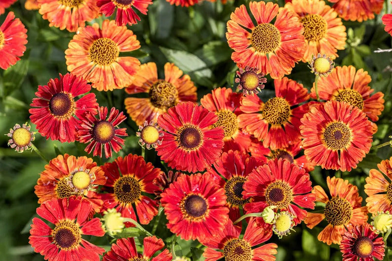 0804376c-2e45-4ed3-b79f-91d265ec1dfc