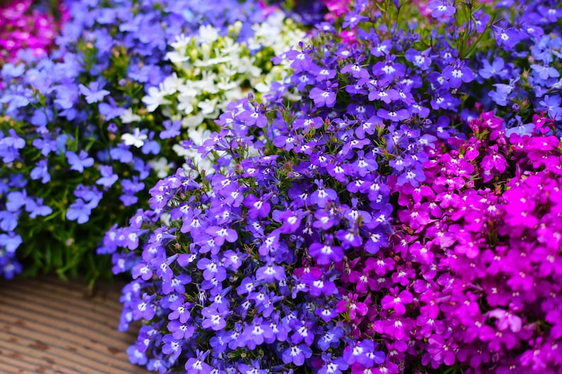 b5cbcfb1-db2d-45d7-bb06-d26b4e7d41c5