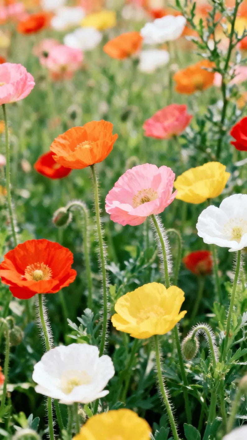 8542cc25-d8b1-459f-ad19-a92b9d68c186