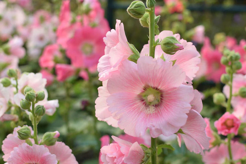 6062c6d2-ad2a-4b61-a9c2-16cfa479ff26