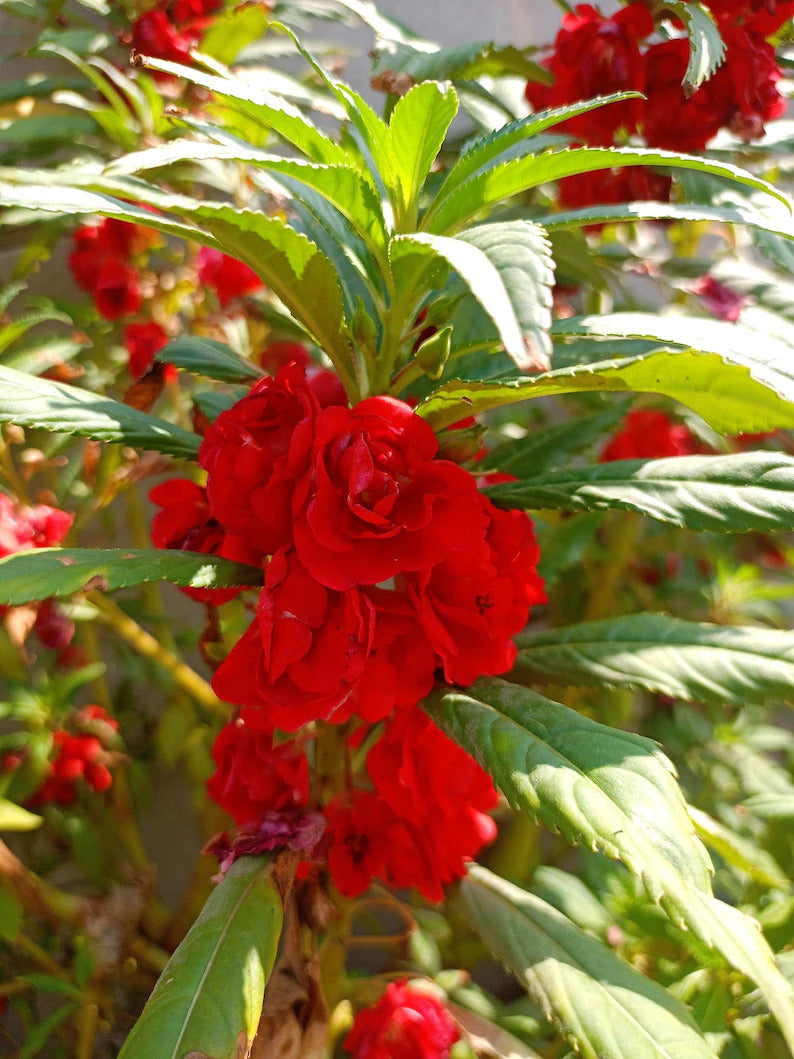 e2b334a7-70b4-4b77-8fd2-0eca587597c1