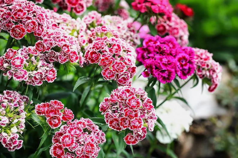 643ae888-6e51-4f5d-a6f8-30af064c1fb0