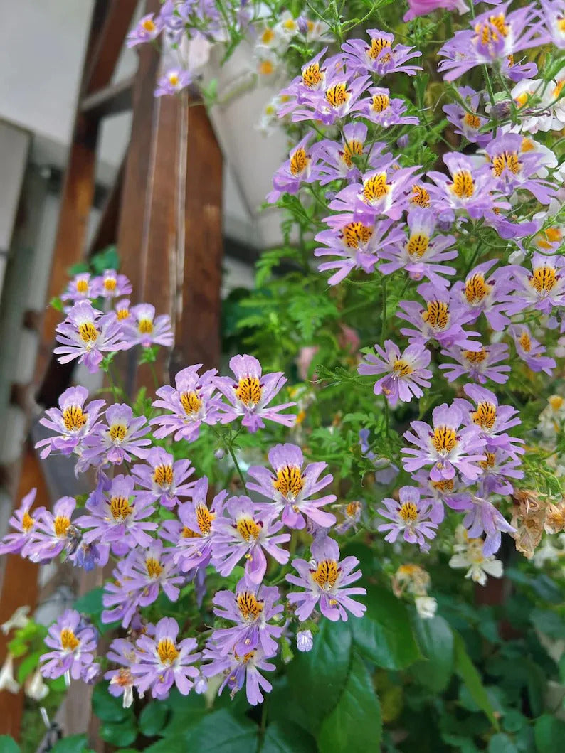 7badb6fe-870e-4068-81db-31ad9c57045d