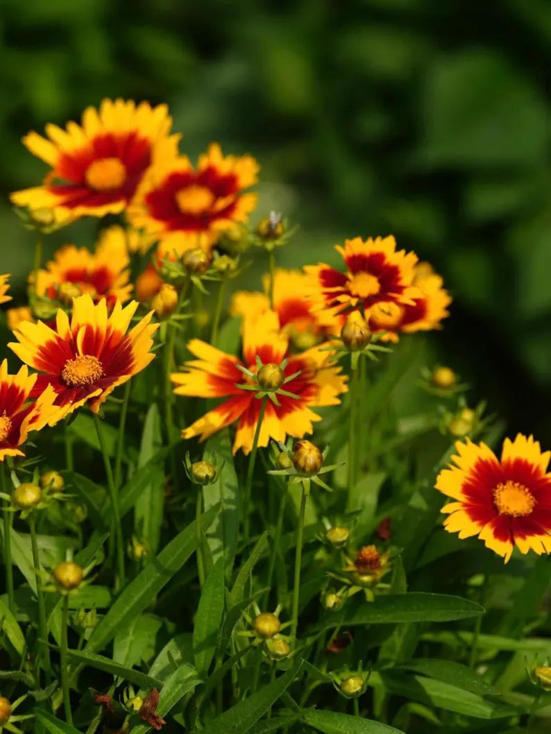 2afd9057-7377-4285-aeae-bff28c9a8d58