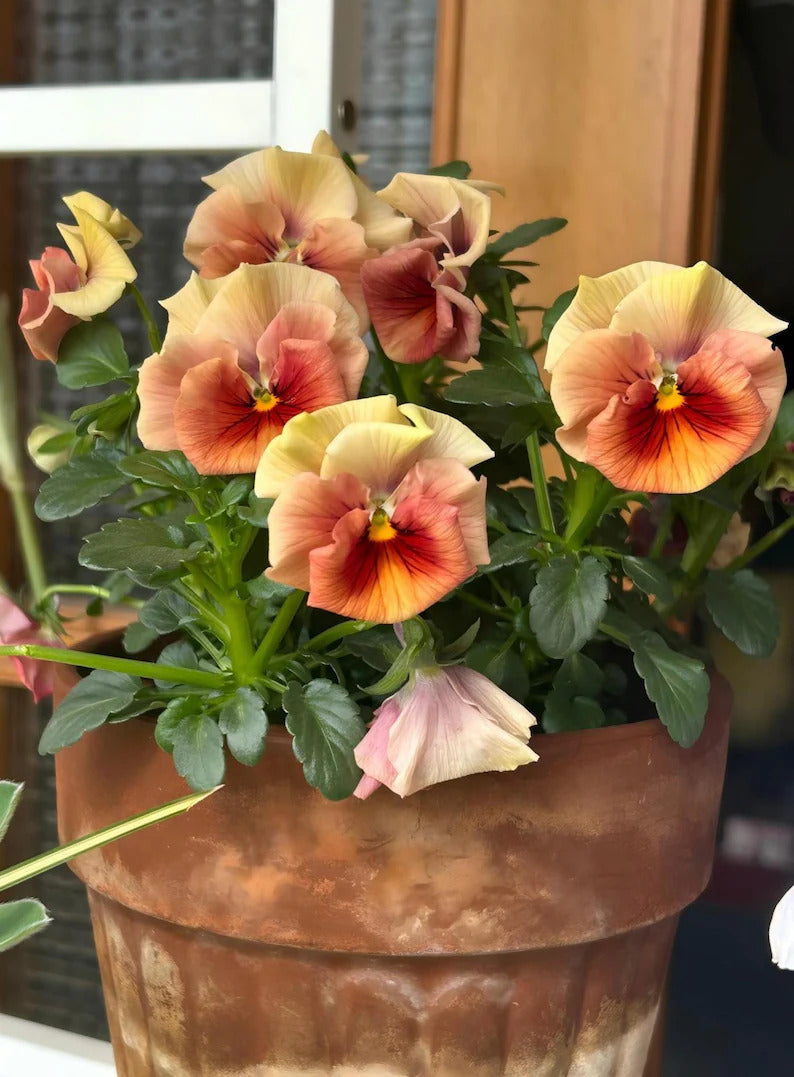 c3bd94b0-e198-4f93-8889-a1c6bae6fbb1