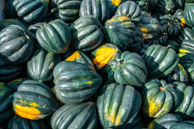 f017f48e-a8b3-4bce-b894-6ed9fffad096