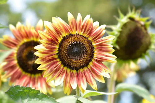 0f7f316d-2022-43eb-8f2e-fb1aca439d7b