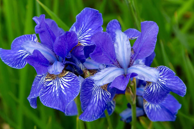 38e14e5a-067f-4986-8447-e026b09a3cd0