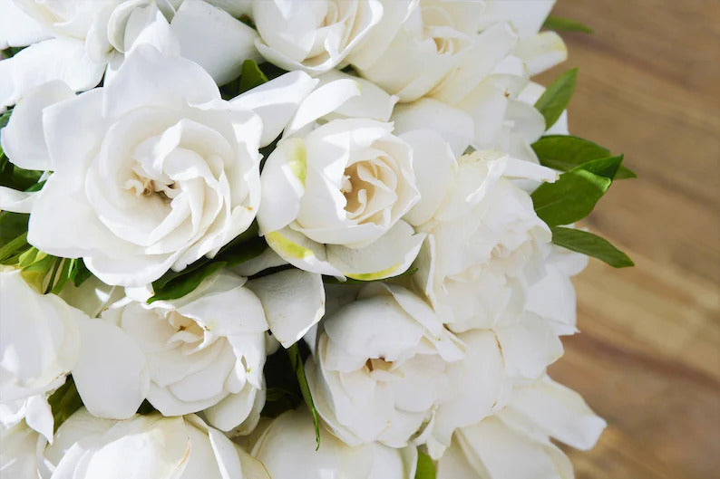 9c329b78-2f9a-490e-a959-f9f88c0d32a0