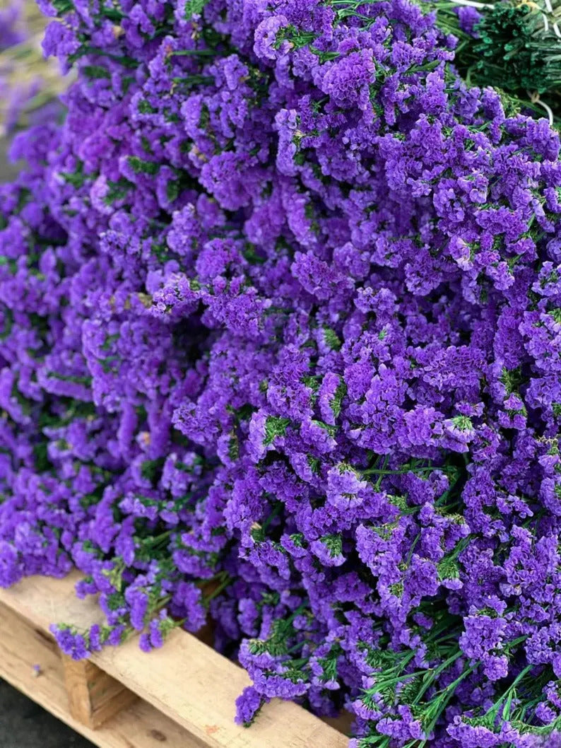 2899c65d-a917-4e30-9c9b-002e06fc5287