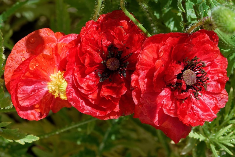 747c13f4-1f2f-4938-adb1-92995d2ccc69