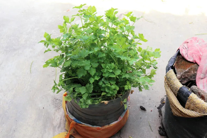 82a4f81e-2818-4717-b32a-d59e657d5f71