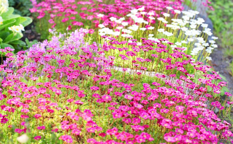 bb7769a8-4bcb-45df-8174-2f9c6c57ece0