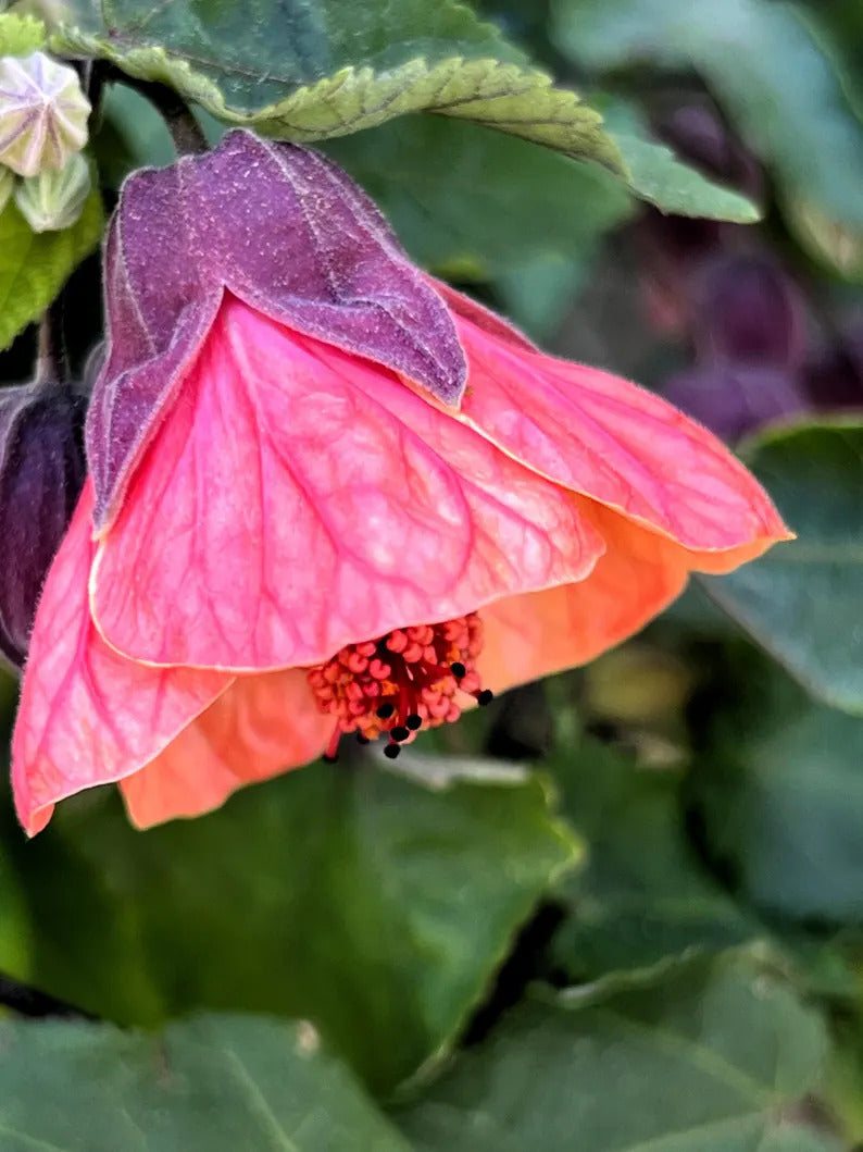 f6cc73d8-2acf-4300-83d5-82a3dddbd6dc