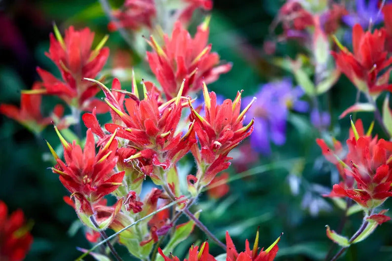 8354d7c1-ba58-4677-a527-73f828fa8c4d