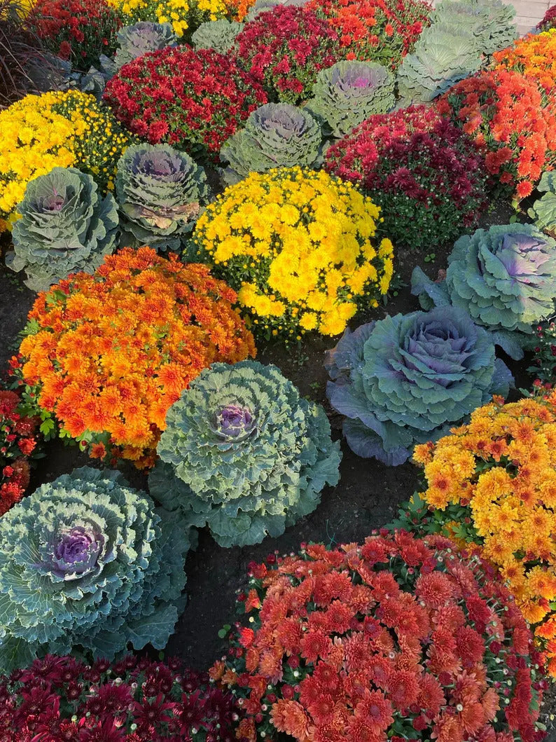 dc183666-0842-4bc7-8fe3-04b500fe89fa