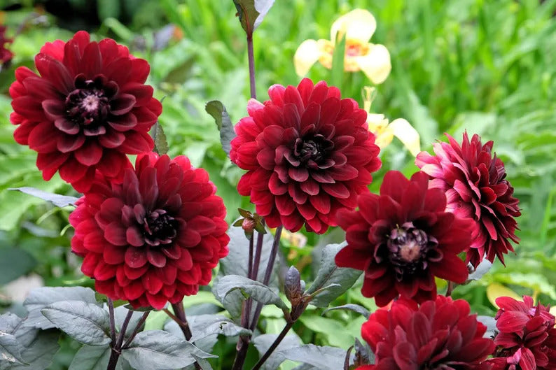 f647d5f3-5945-441a-a609-3262242c8a5b