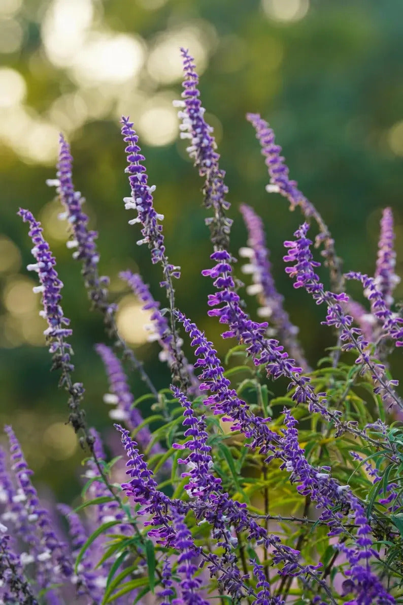 3f770364-5f42-4bcf-8833-1a37dd6be4a6