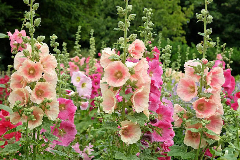 db807314-a0f6-48e3-92ef-746dd147eb4a