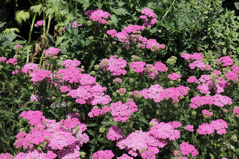 6a643390-3cfd-4ec4-adbb-0f4de738db78