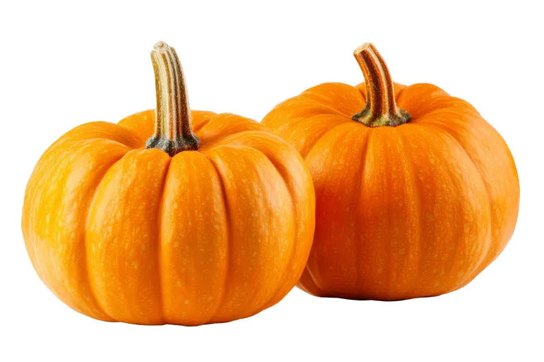 f0d25198-37d0-4fc8-a33a-838ec49899ac