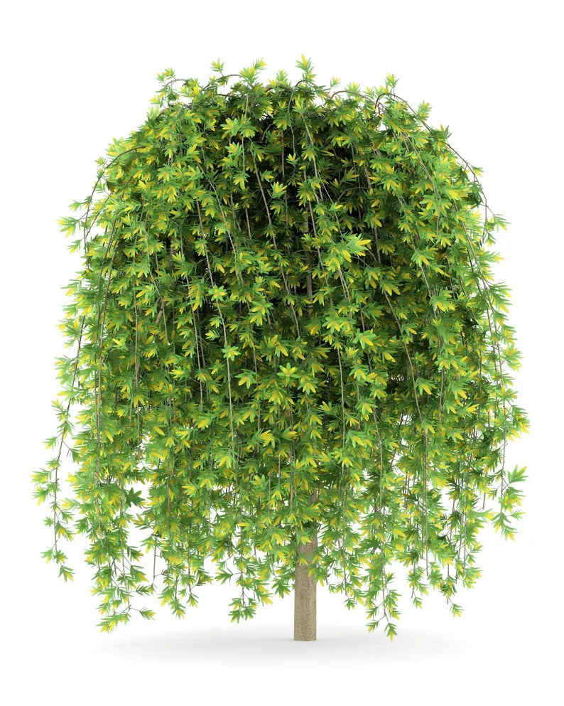 631f7940-0e23-4cbe-a363-725d8eeb004b