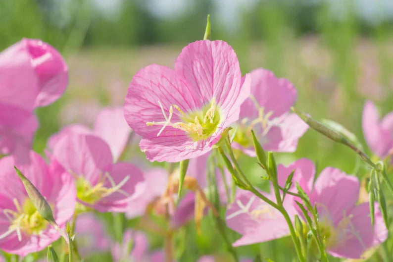 fe56c485-cb67-41ad-a8f2-57fd2405e3fc