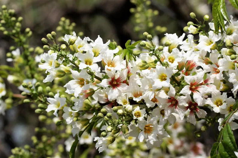 80103449-9f08-49df-b46d-ab6c59912189