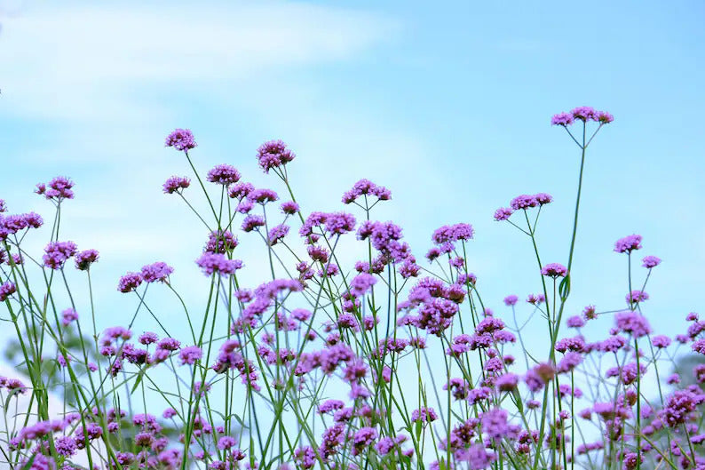 835577f7-2832-4450-acae-7fc97583b6b6