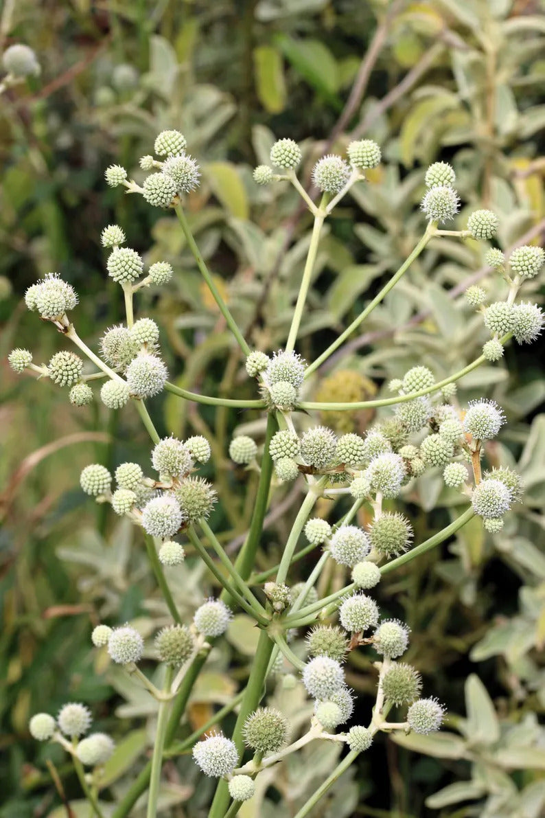 330e1f1c-6c01-4df6-a556-e487d7b19c01