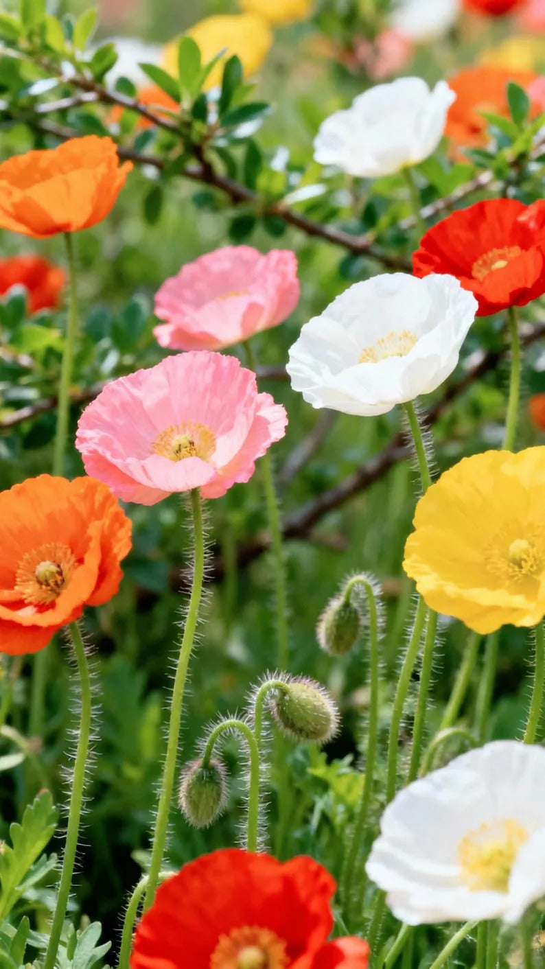 17aeefe6-9b9e-4522-97b0-4dee28d45689