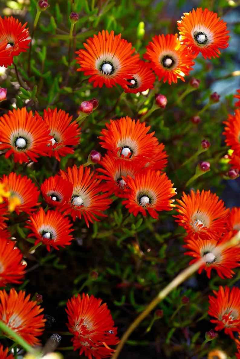 4516b7b2-6c23-4edf-8401-d8f2c0725a17