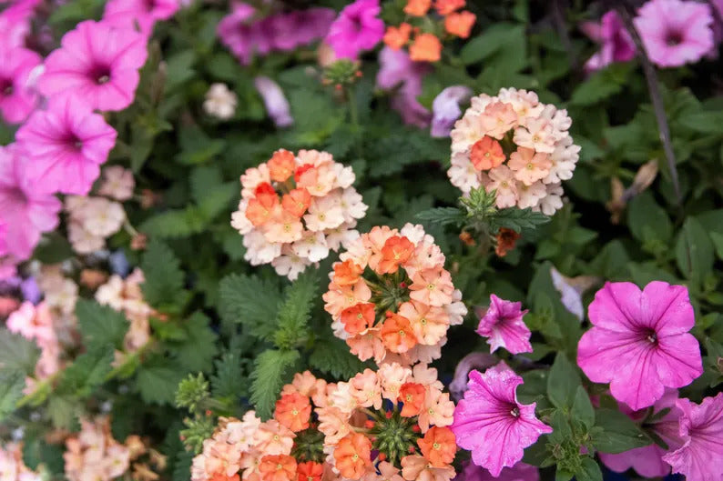 d713f0c5-cf07-4a65-97dd-6cc798ca640b