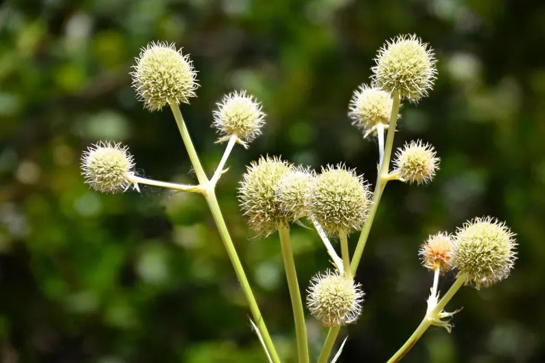 834495c8-5427-42a3-a11f-ba0df6a8a065