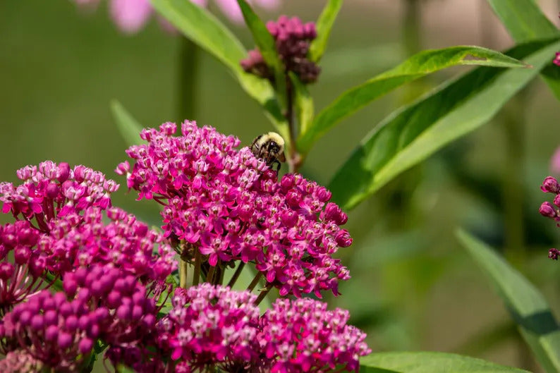 216cb009-cd28-450a-a1a8-71629ee29b0b