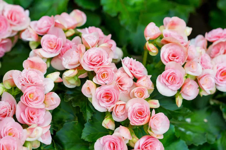 5184dbcf-c833-4ff9-a9b9-d5850f2a7df4