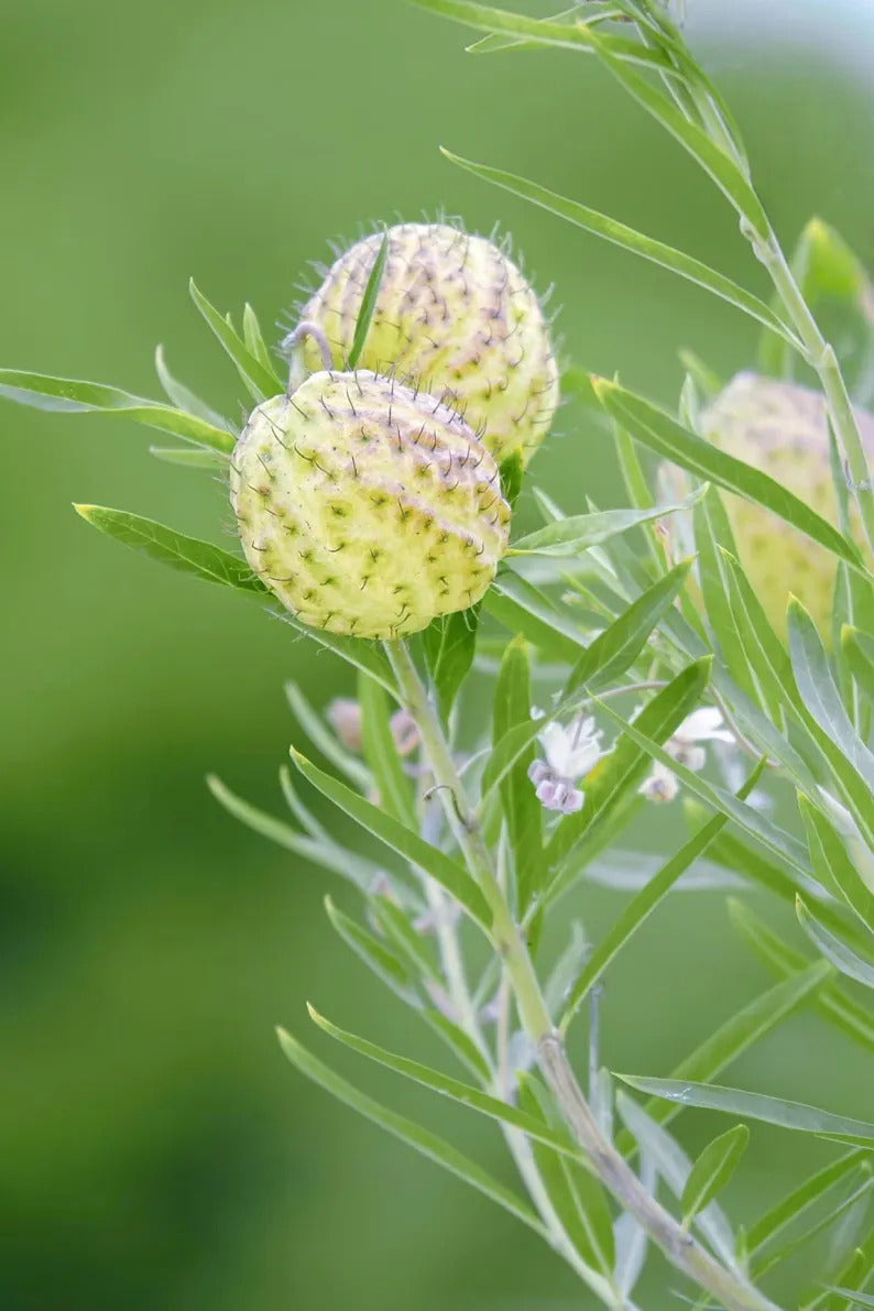 dc2b5d89-0000-42f0-b180-5f9cc62be2cb