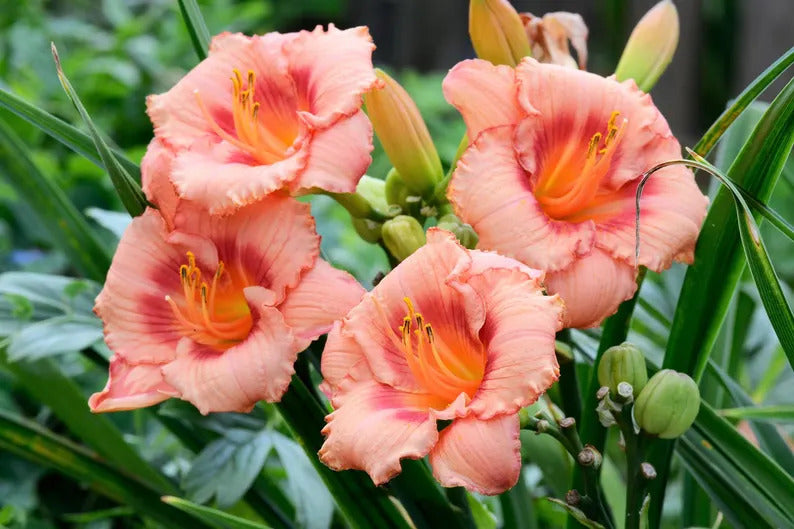 077b3cc9-2123-435f-9dbb-6ead2b9b5705