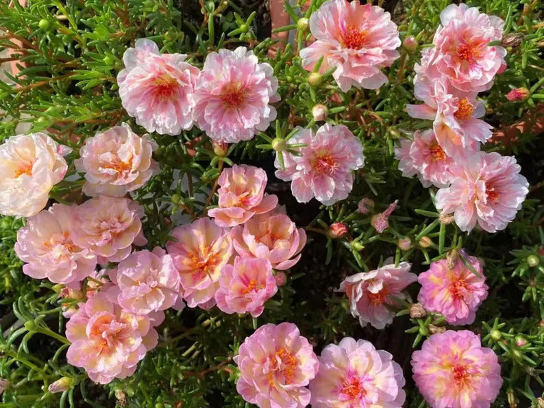 02f2fd45-3acd-4591-b573-d4805370afac