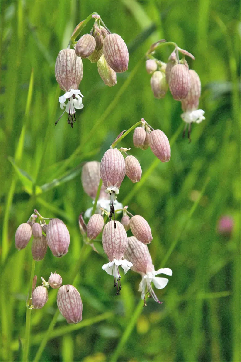 0c21f65b-6cc7-403f-be5e-d6ccafc1aeb3