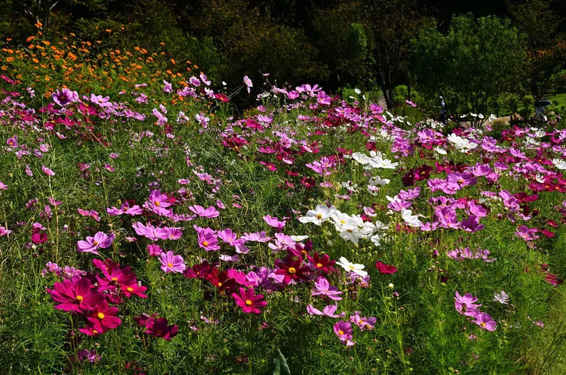 00eb5ec5-b7d4-44f2-83ba-22d8b3a389f8