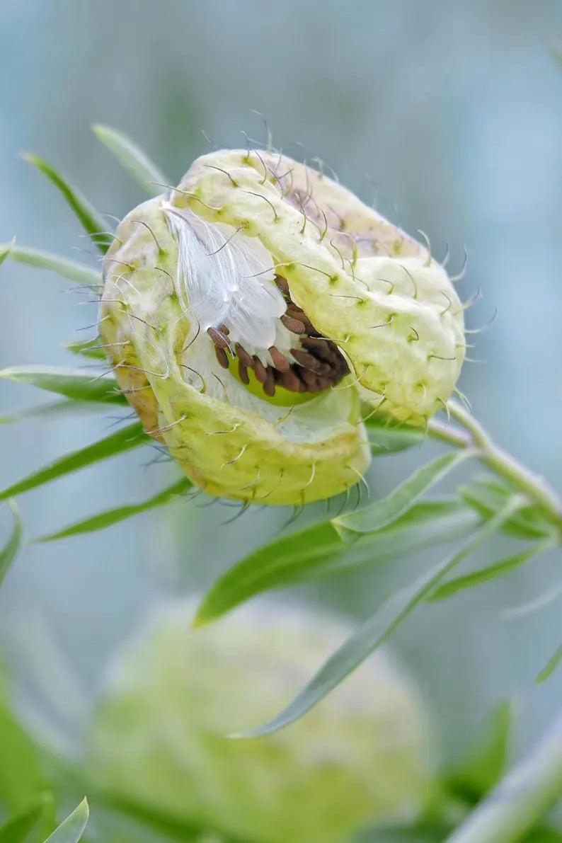 ed5cdd66-e5c5-4984-a8e1-92cf210a1585