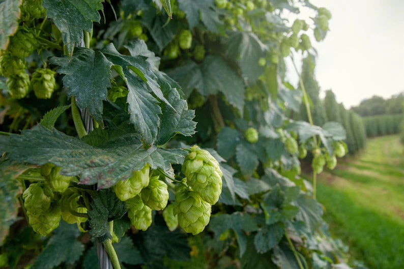 f9d01a99-7f1e-47c6-b19e-5bf34f771c94