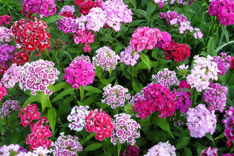 bc6c7f2d-399b-472e-ae12-96e7f43d688a