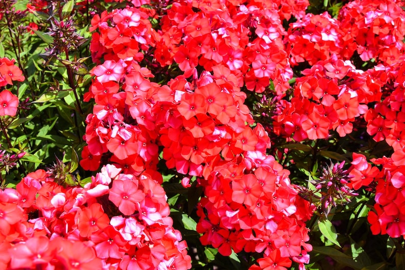 f261d4a1-bb0d-49c7-bb26-1336597ec4e4