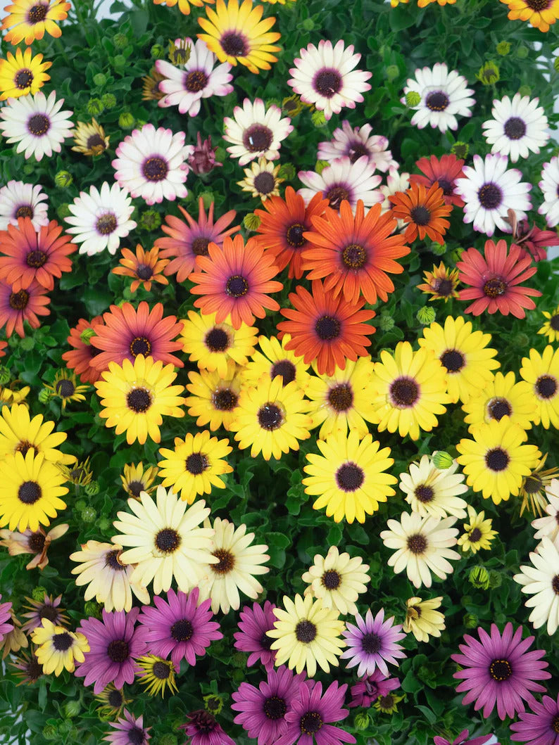 d1d49780-64b6-4647-aafd-85a1fde8b931